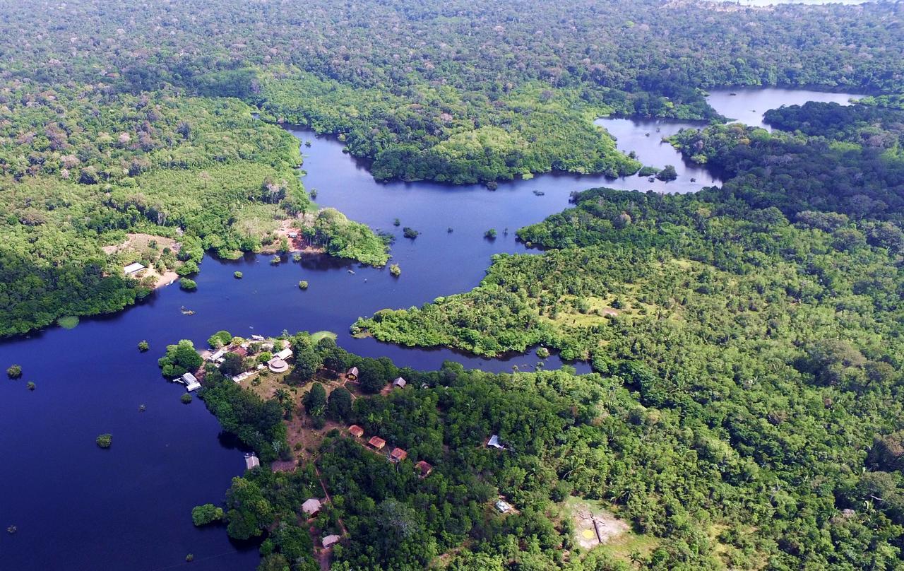 Amazon Turtle Lodge Careiro Exterior foto